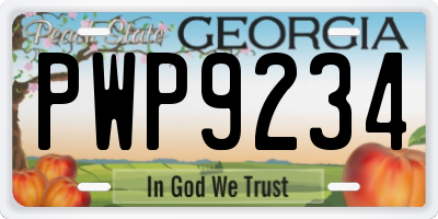 GA license plate PWP9234