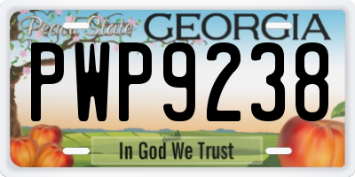 GA license plate PWP9238