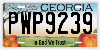 GA license plate PWP9239