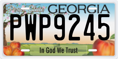 GA license plate PWP9245