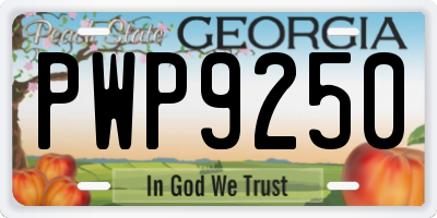 GA license plate PWP9250