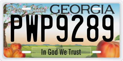GA license plate PWP9289