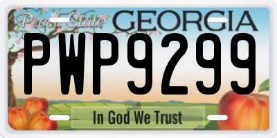 GA license plate PWP9299