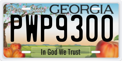 GA license plate PWP9300