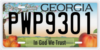 GA license plate PWP9301