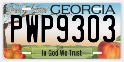 GA license plate PWP9303