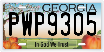 GA license plate PWP9305