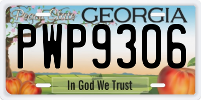GA license plate PWP9306