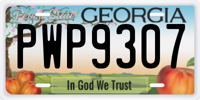 GA license plate PWP9307