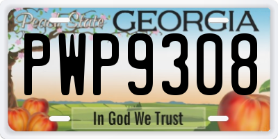 GA license plate PWP9308
