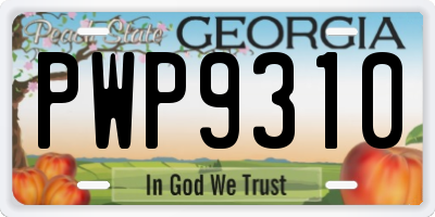 GA license plate PWP9310