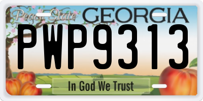 GA license plate PWP9313