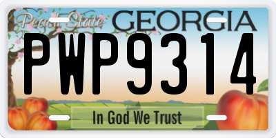 GA license plate PWP9314
