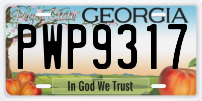 GA license plate PWP9317