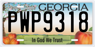 GA license plate PWP9318