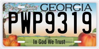 GA license plate PWP9319