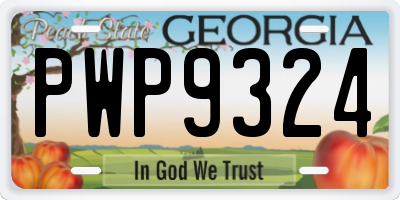 GA license plate PWP9324