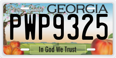 GA license plate PWP9325