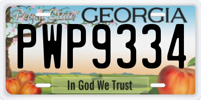 GA license plate PWP9334