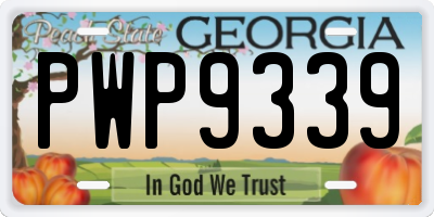 GA license plate PWP9339
