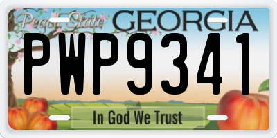 GA license plate PWP9341