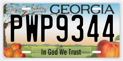 GA license plate PWP9344