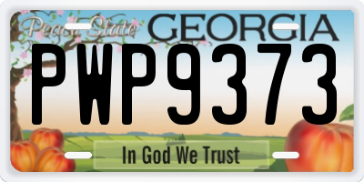 GA license plate PWP9373