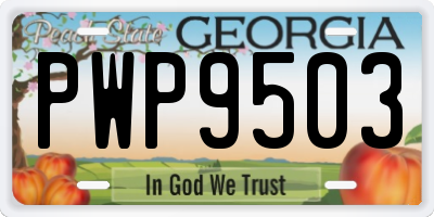 GA license plate PWP9503