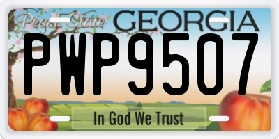 GA license plate PWP9507