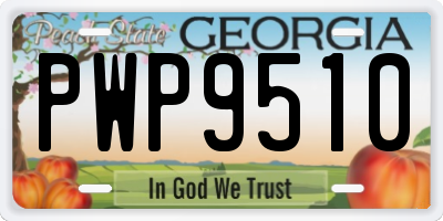 GA license plate PWP9510