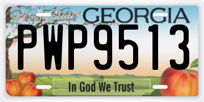 GA license plate PWP9513