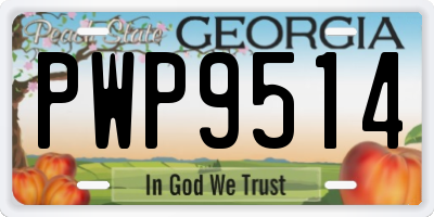 GA license plate PWP9514