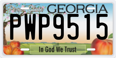 GA license plate PWP9515
