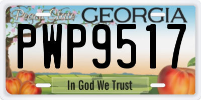 GA license plate PWP9517
