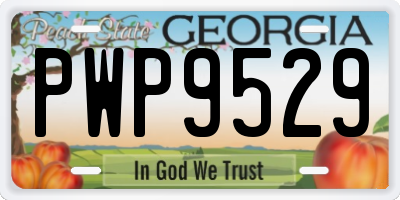 GA license plate PWP9529