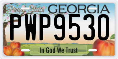 GA license plate PWP9530