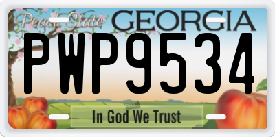 GA license plate PWP9534