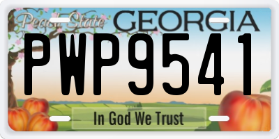 GA license plate PWP9541