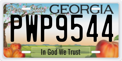 GA license plate PWP9544