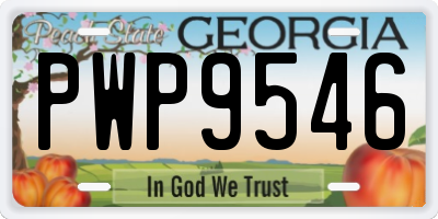 GA license plate PWP9546