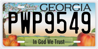 GA license plate PWP9549