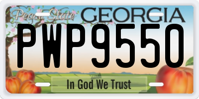 GA license plate PWP9550
