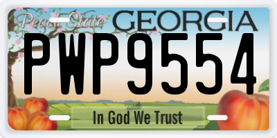 GA license plate PWP9554