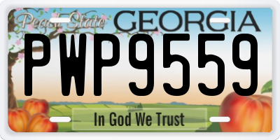 GA license plate PWP9559