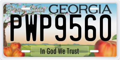 GA license plate PWP9560