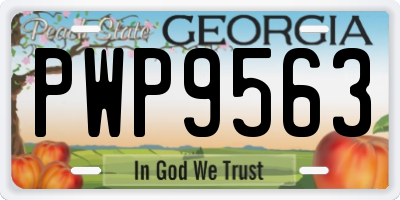 GA license plate PWP9563