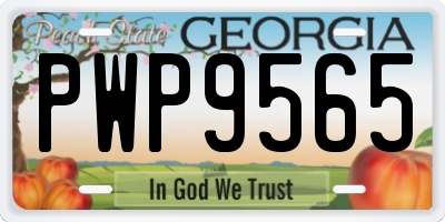 GA license plate PWP9565