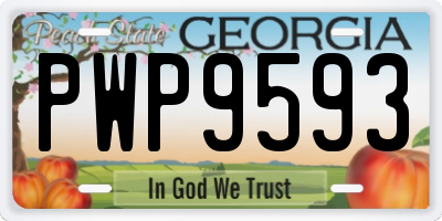 GA license plate PWP9593