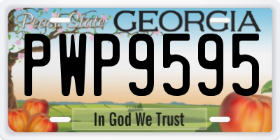 GA license plate PWP9595