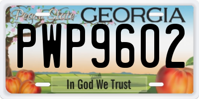 GA license plate PWP9602
